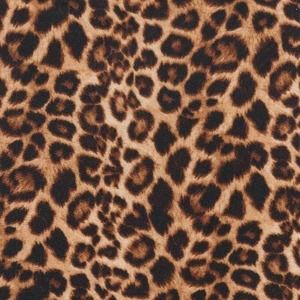 Meet your Posher, Kaylee